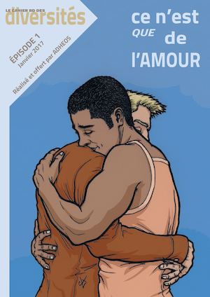 Cahier BD des diversites 2017