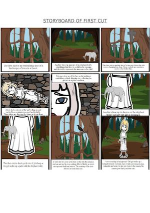 Storyboard Of First Cut
