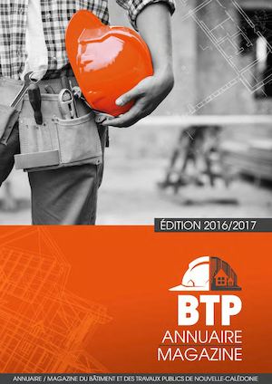 Btp 2016:17