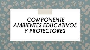 Componente Ambientes Educativos Y Protectores