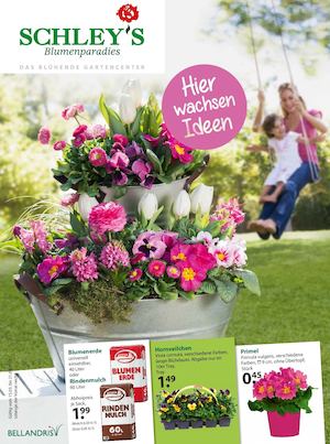 Frühlingsbeilage März 2017 | Schley's Blumenparadies