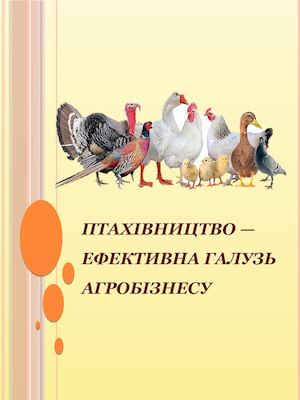 Птахівництво - ефективна галузь агробізнесу