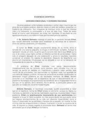 Cerebro Emocional Y Cerebro Racional