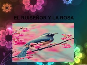 El Ruiseñor Y La Rosa