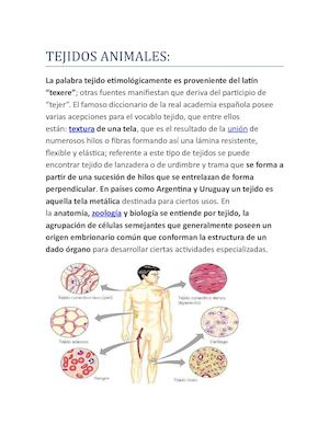 HEIDY CONTRERAS 701 TEJIDOS ANIMALES