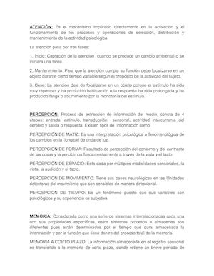 1 Procesos Cognitivos