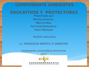 Presentaciòn Ambientes Protectores
