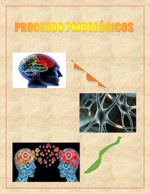 Revista Fisiologia 403005 - 58
