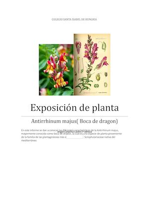 Colegio Santa Isabel De Hungria