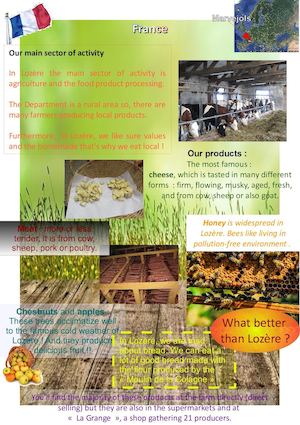 Economic brochure by Emma and Mathis