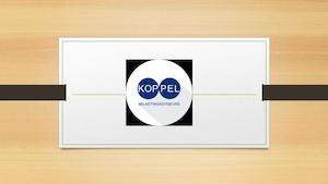Koppel Advies - Fiscalist