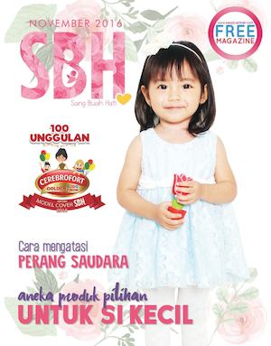 SBH NOVEMBER 2016