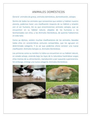 Los Animales Domesticos