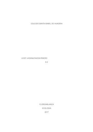 Pensamiento Gigante Suizo Rojo2