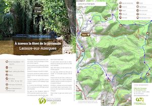 A Travers La Foret De La Pyramide _ LAMURE