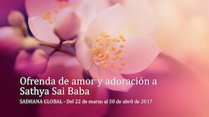 Ofrenda De Amor Y Devoción A Sathya Sai 40 Semillas