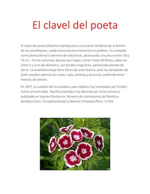 El Clavel Del Poeta