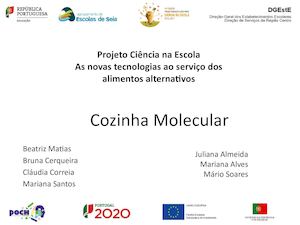cozinha molecular