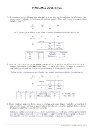 28 Problemas Resueltos