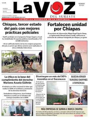 Diario La voz del Sureste