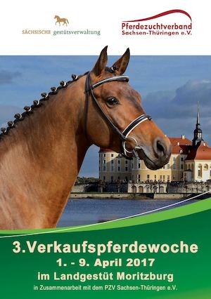 3. Verkaufswoche im Landgestüt Moritzburg 1.-9. April 2017