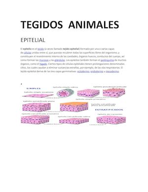 Tegidos Animales