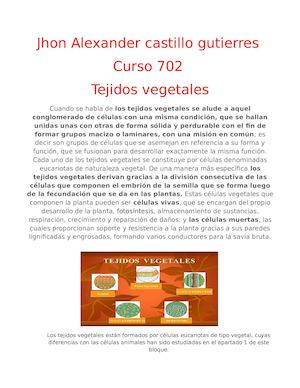 Jhon Alexander Castillo Gutierres