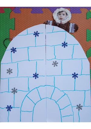 MI PROYECTO DEL POLO NORTE