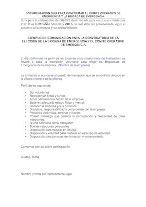 Modelo Conformación Coe Y Brigada De Emergencia