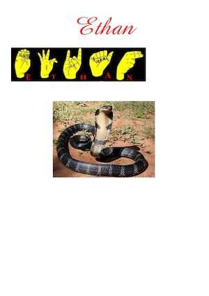 Portrait chinois d'Ethan en Langue des signes