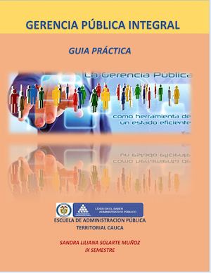 Trabajo Final Gerencia Publica Integral