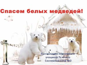 Белый медведь