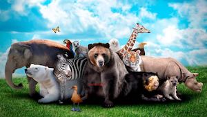 Los Animales