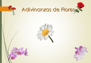 ADIVINANZAS DE FLORES