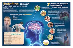 INFOGRAFÍA ENDORFINAS ED. 154