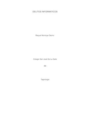 Delitos Informaticos Raquel Montoya 8b