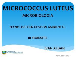 Presentacion Micrococcus Luteus
