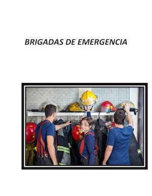 Brigadas De Emergencia
