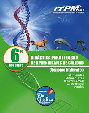 Ciencias Naturales 6° Básico