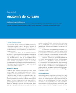 ANATOMÍA DEL CORAZÓN