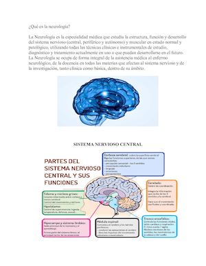 Qué Es La Neurología