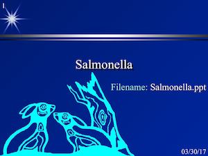 Salmonella