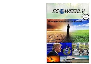 Ecoweekly Numérique Clara Makhoul