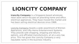 LIONCITY COMPANY