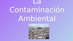 La Contaminación Ambiental