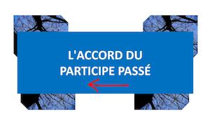L'accord Du Participe Passé Exposé - Lina Moreno
