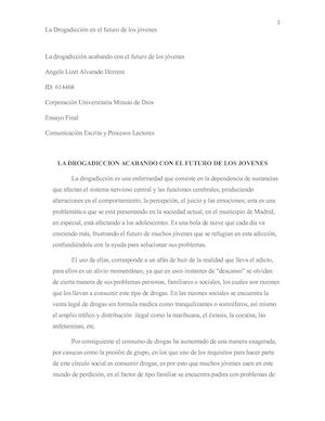 Ensayo Drogadiccion