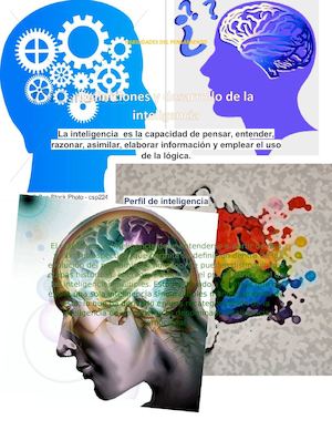 Habilidades Del Pensamiento Proyecto Chispis