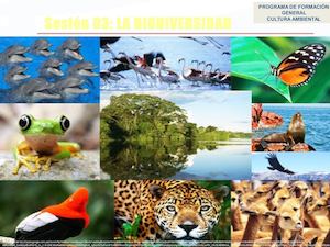Ppt Sesión 3 Biodiversidad 2017 I