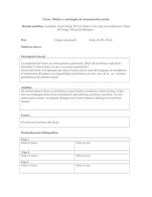 La Reseña Analítica, Su Formato. 4